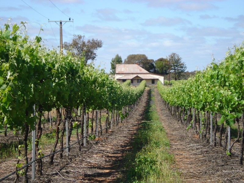 78 Benlow Road, Waikerie SA 5330