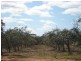 78 Benlow Road, Waikerie SA 5330