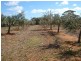 78 Benlow Road, Waikerie SA 5330