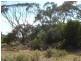 78 Benlow Road, Waikerie SA 5330