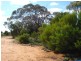 78 Benlow Road, Waikerie SA 5330