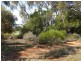 78 Benlow Road, Waikerie SA 5330