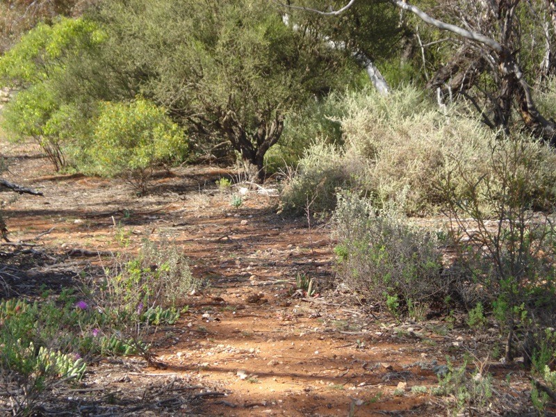 78 Benlow Road, Waikerie SA 5330