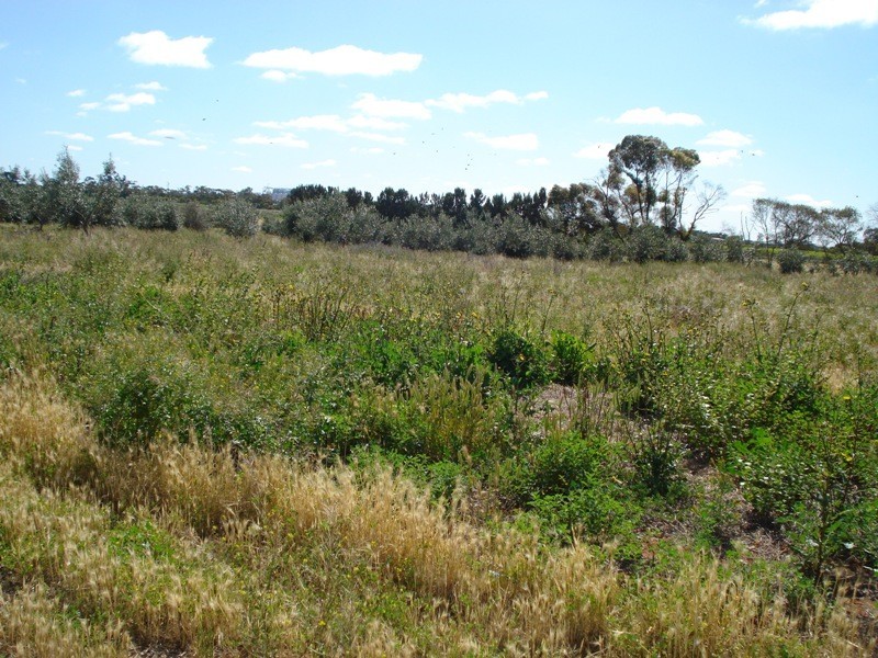 78 Benlow Road, Waikerie SA 5330