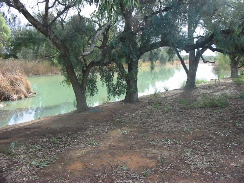 19 Meander Avenue, Renmark SA 5341