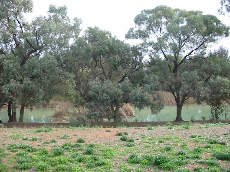 19 Meander Avenue, Renmark SA 5341