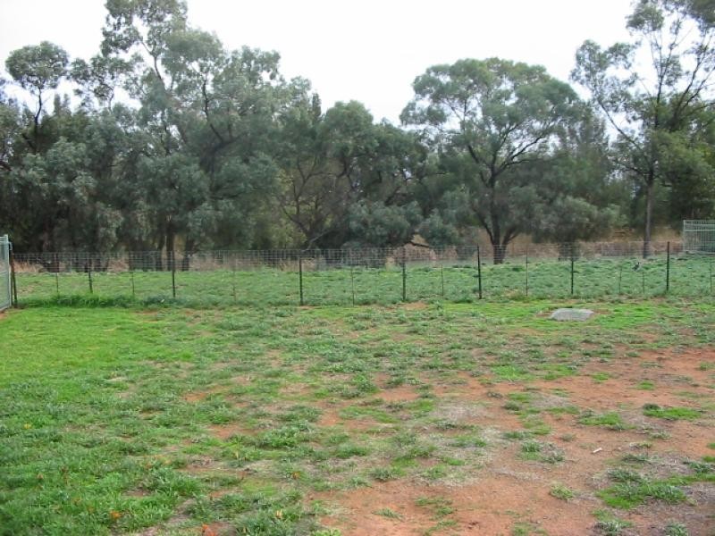 19 Meander Avenue, Renmark SA 5341