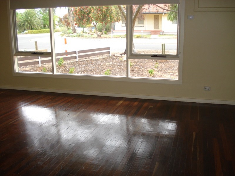 9 Don Elliott Drive, Waikerie SA 5330