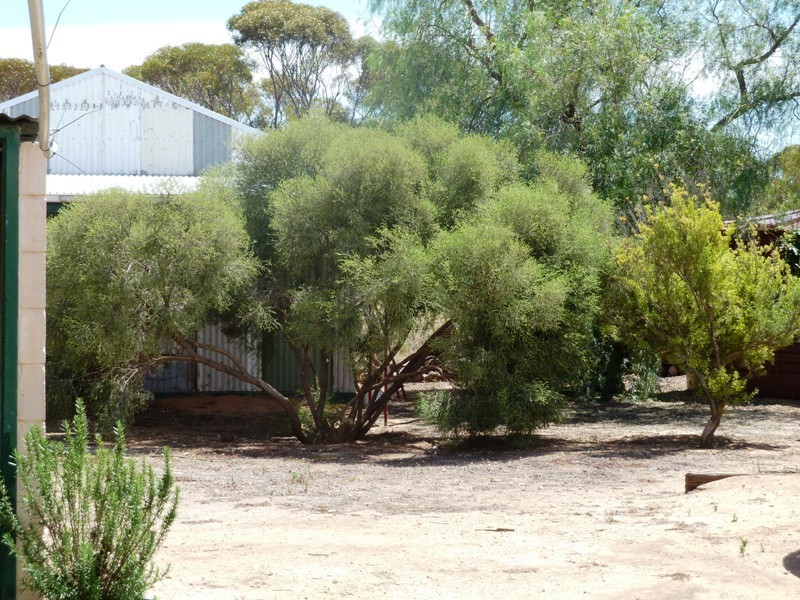 Lots  55 and 56 Smyth Street, Mantung SA 5308