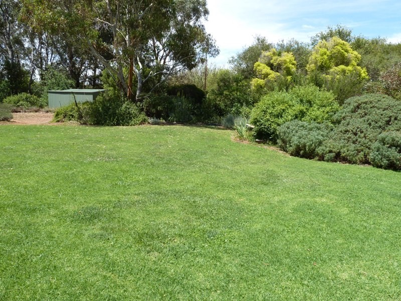 95 Curren Road, Berri SA 5343