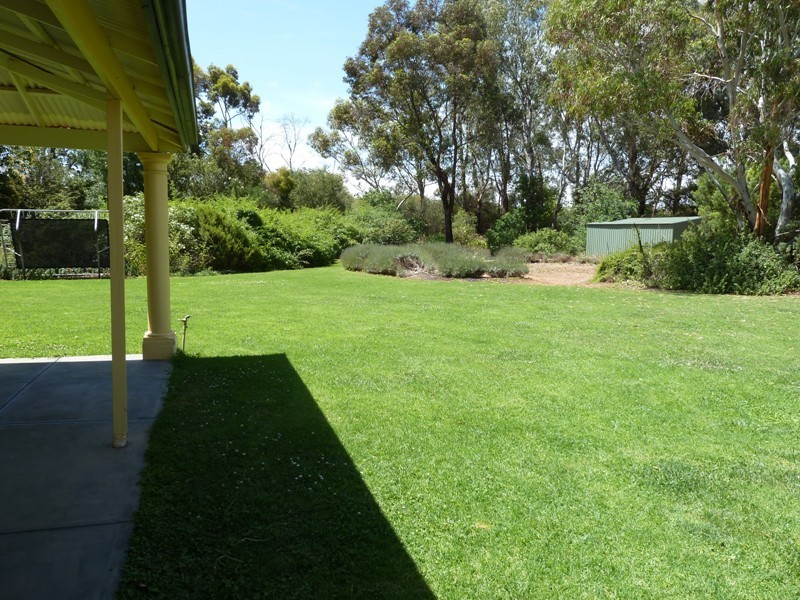 95 Curren Road, Berri SA 5343