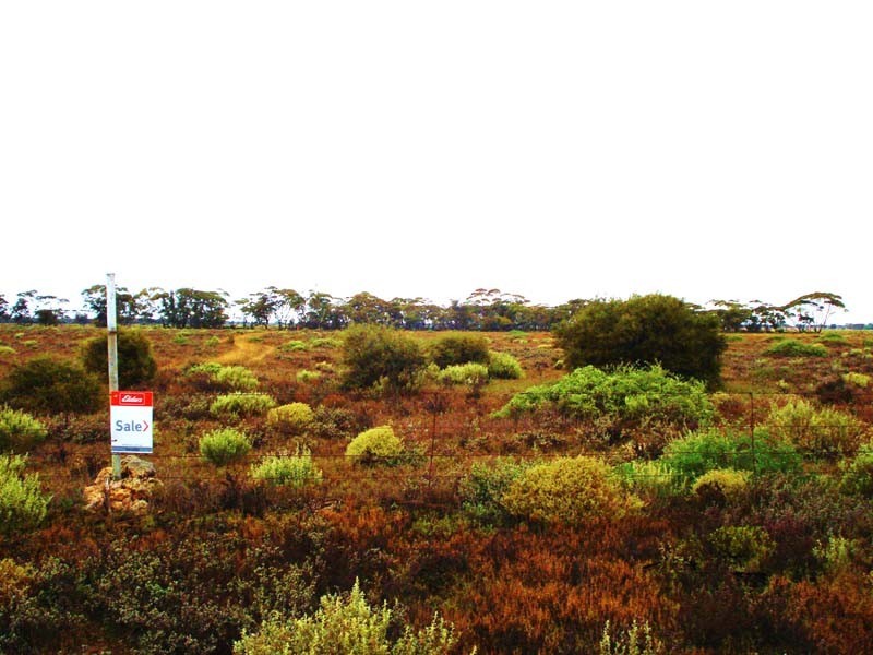 3 Old Railway Road (Steinfeld), Truro SA 5356