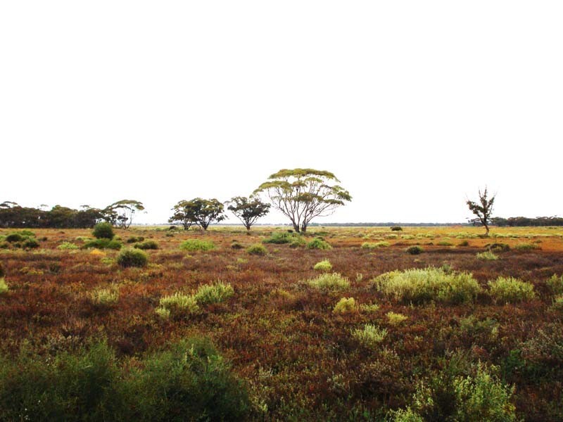 3 Old Railway Road (Steinfeld), Truro SA 5356