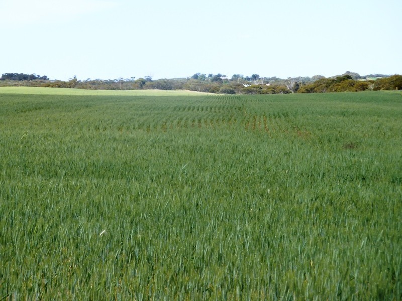 Section 22, 28, 29, 30 and 134, Malpas SA 5311