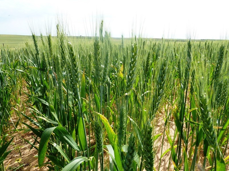 Section 22, 28, 29, 30 and 134, Malpas SA 5311