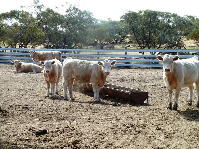 Section 22, 28, 29, 30 and 134, Malpas SA 5311