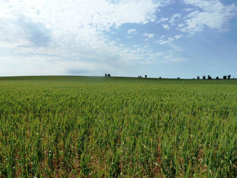 Section 22, 28, 29, 30 and 134, Malpas SA 5311