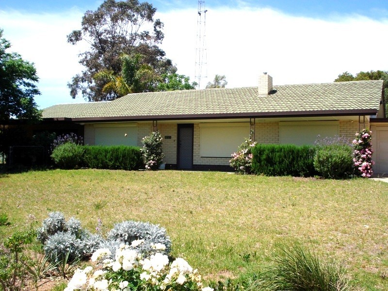 234 Virgo Road, Waikerie SA 5330