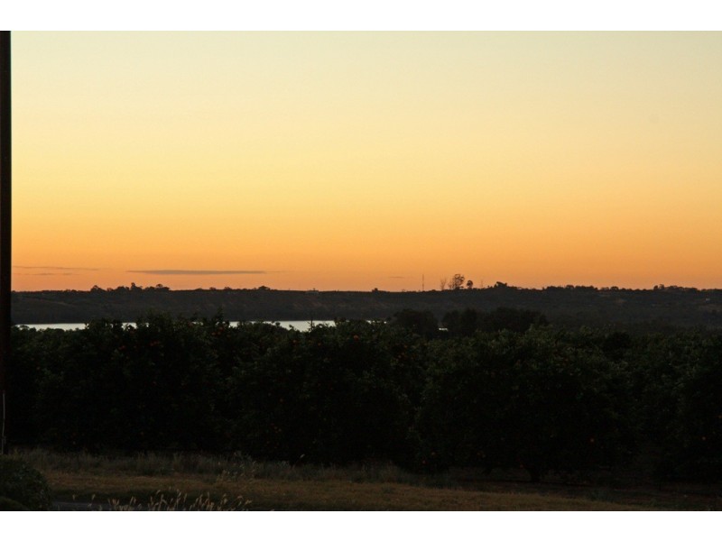 234 Virgo Road, Waikerie SA 5330