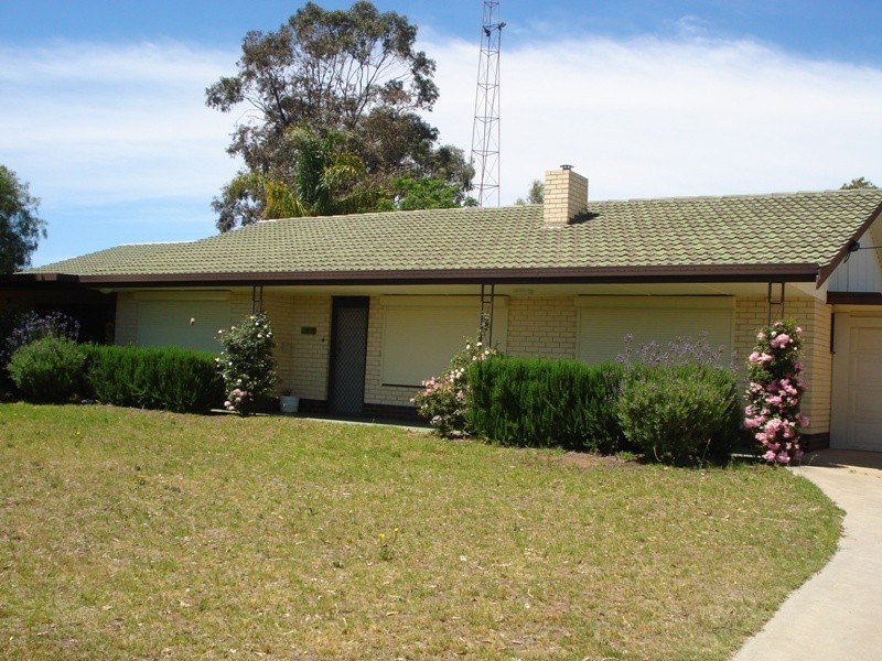 234 Virgo Road, Waikerie SA 5330