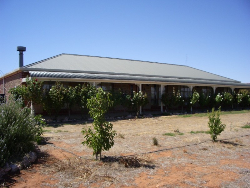 93 Pope Road, Waikerie SA 5330