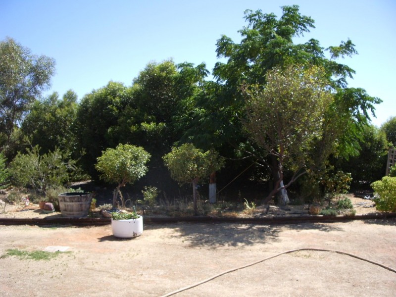 93 Pope Road, Waikerie SA 5330