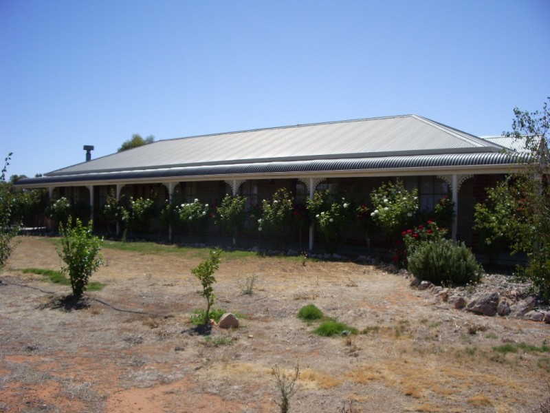 93 Pope Road, Waikerie SA 5330