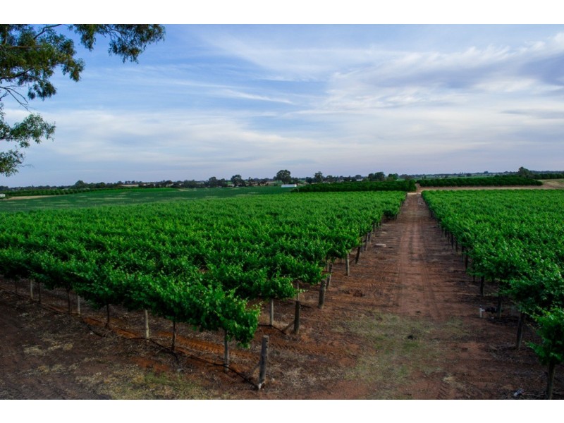 - Derrick Road, Loxton SA 5333