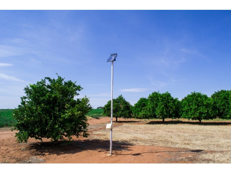 - Derrick Road, Loxton SA 5333