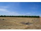 - Derrick Road, Loxton SA 5333