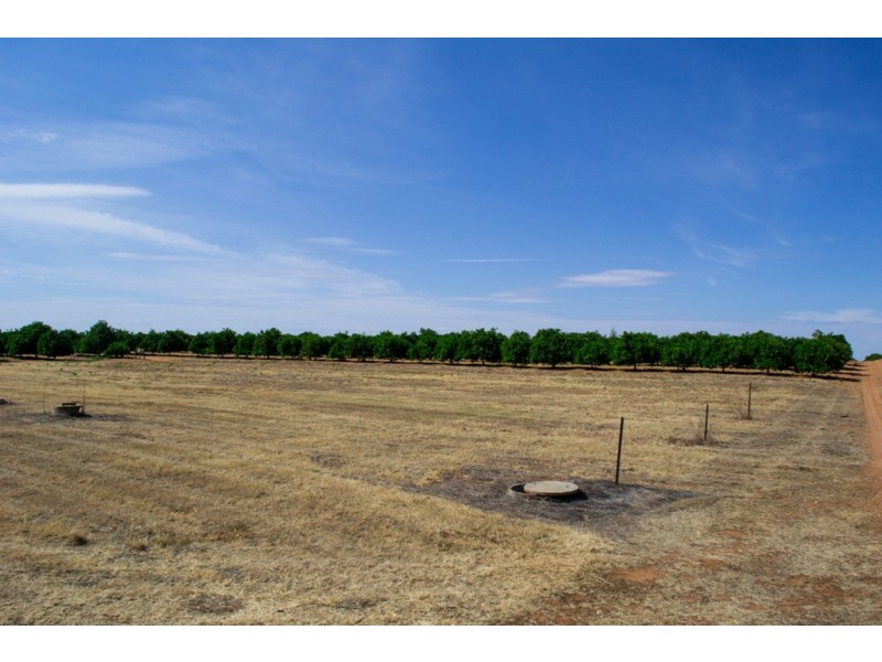 - Derrick Road, Loxton SA 5333