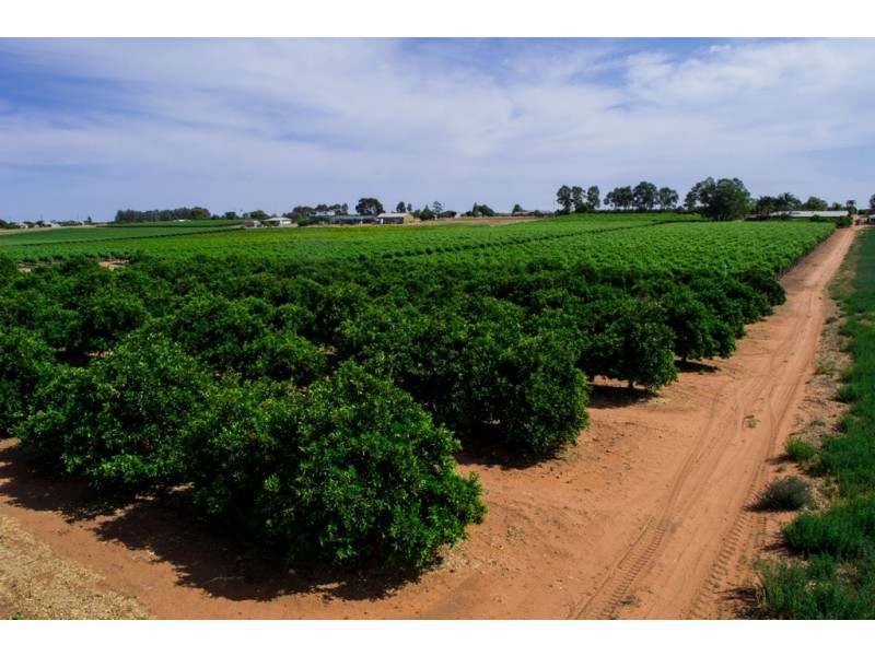 - Derrick Road, Loxton SA 5333