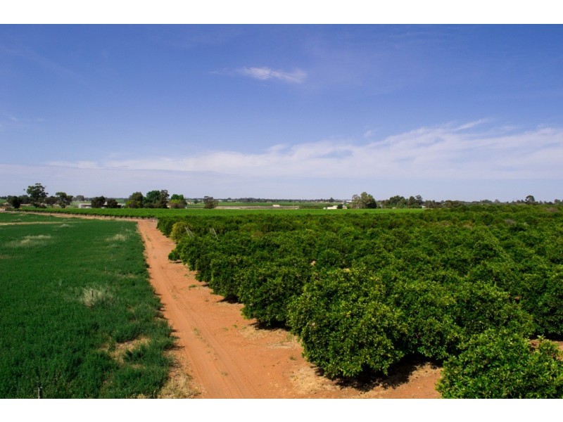 - Derrick Road, Loxton SA 5333