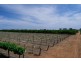 - Derrick Road, Loxton SA 5333