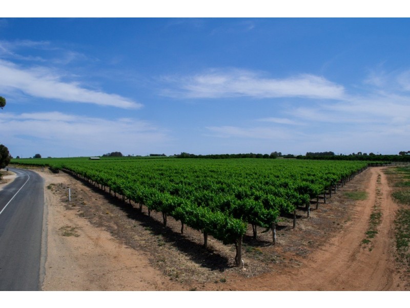 - Derrick Road, Loxton SA 5333