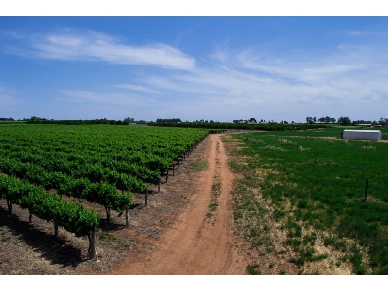 - Derrick Road, Loxton SA 5333
