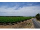- Derrick Road, Loxton SA 5333