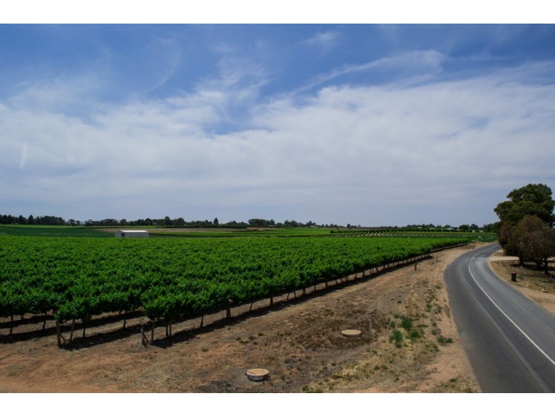- Derrick Road, Loxton SA 5333