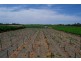 - Derrick Road, Loxton SA 5333