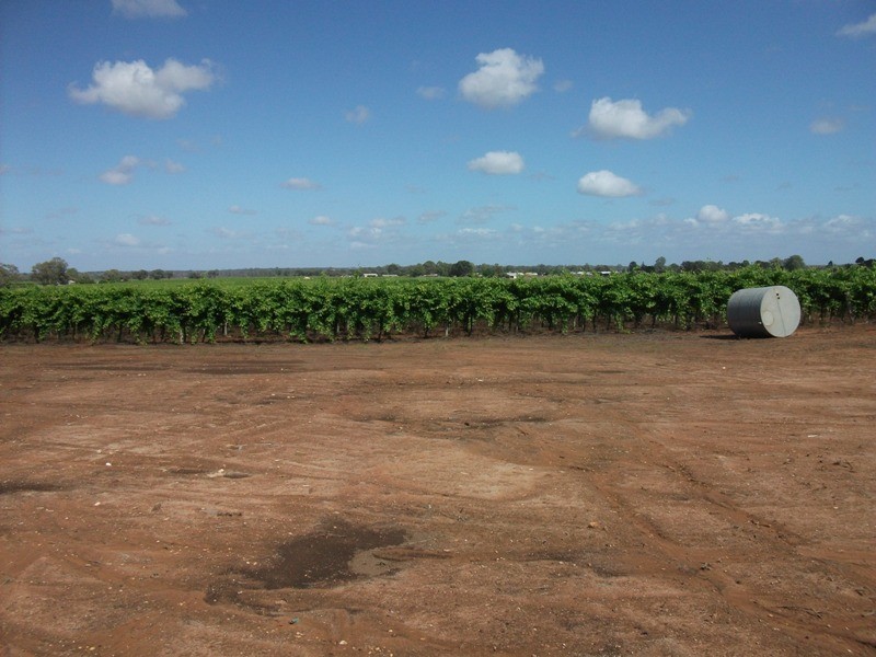 Section 241 Elephant Trunk Road, Cobdogla SA 5346