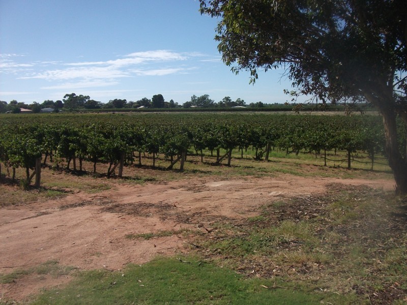 52 Bottom Road, Barmera SA 5345