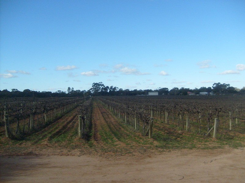 52 Bottom Road, Barmera SA 5345