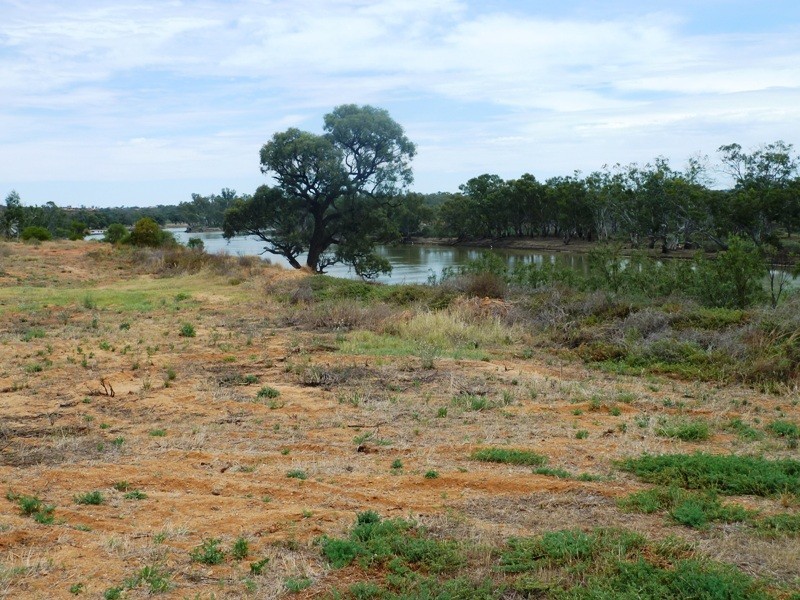Lot 26 Ella Court, Loxton SA 5333
