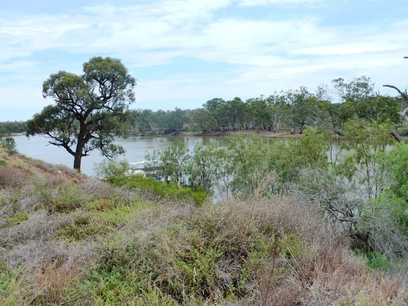 Lot 26 Ella Court, Loxton SA 5333