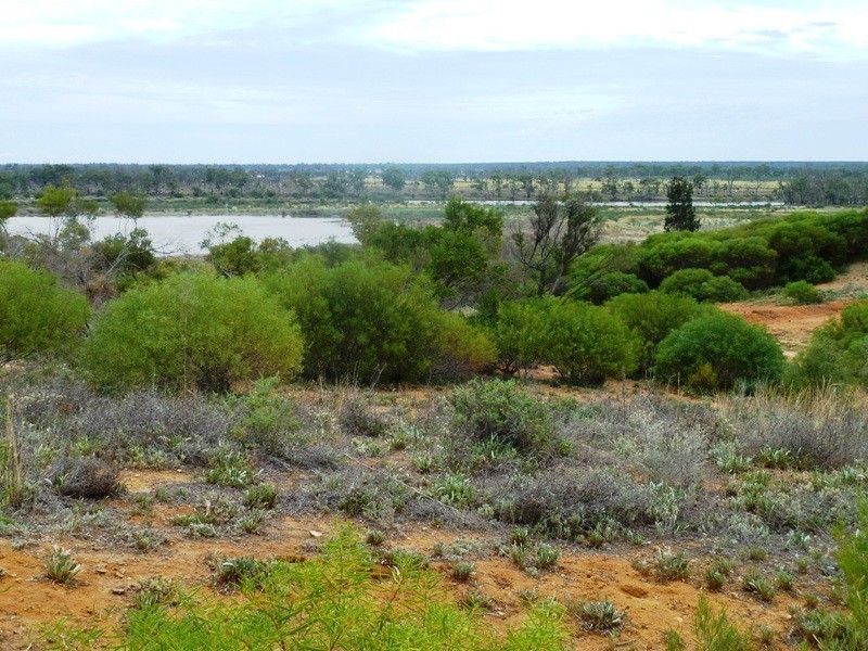 33 Wheatley Road, Loxton SA 5333