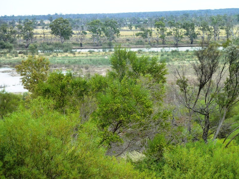 33 Wheatley Road, Loxton SA 5333