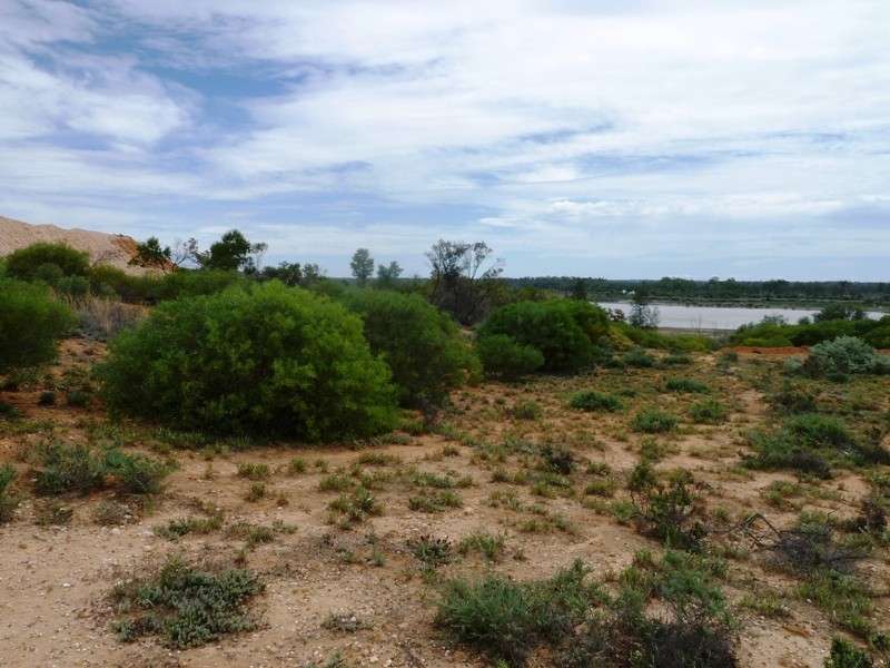33 Wheatley Road, Loxton SA 5333