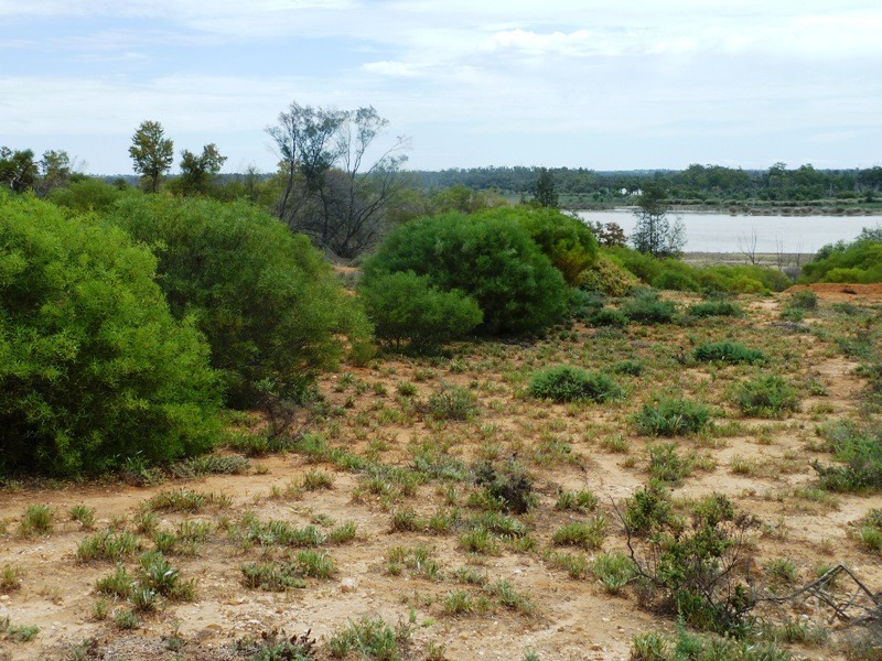 33 Wheatley Road, Loxton SA 5333