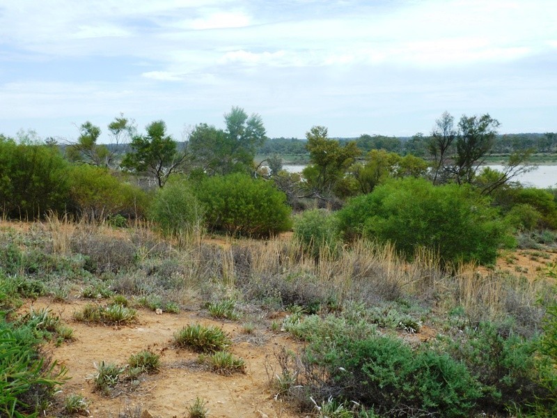 33 Wheatley Road, Loxton SA 5333