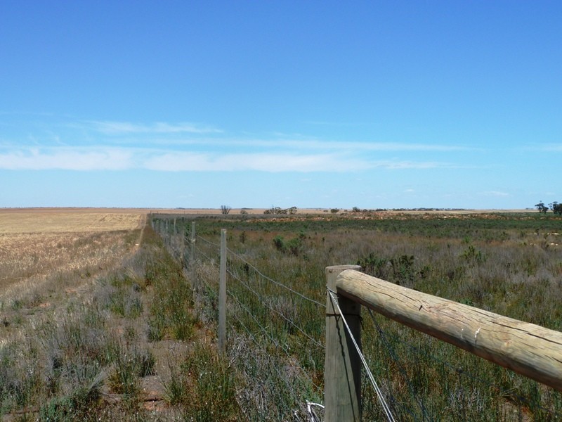 272 Crase Road, Loxton SA 5333